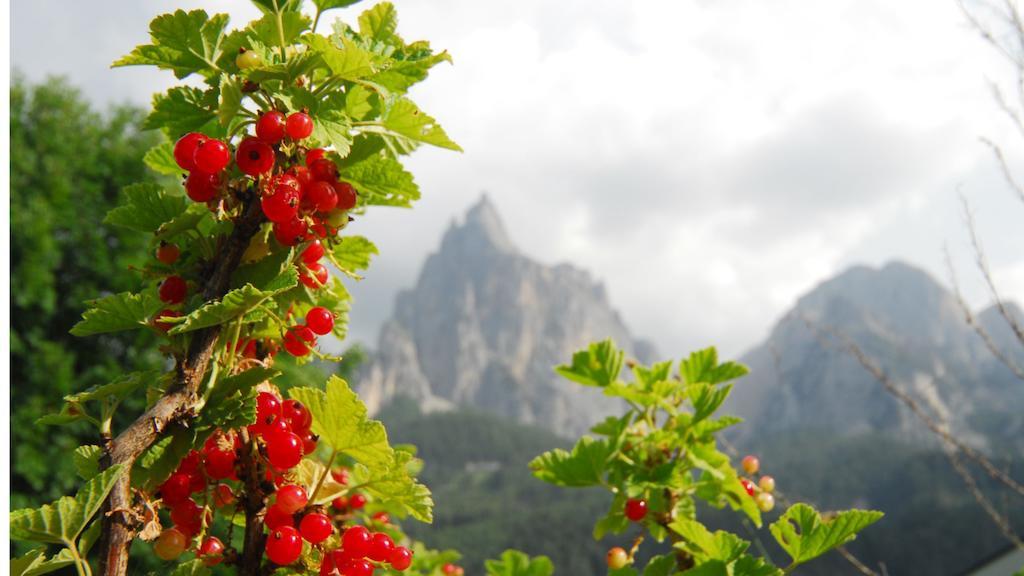 Garni Karlegger Acomodação com café da manhã Siusi Exterior foto